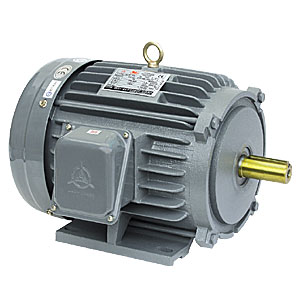 Low Voltage 3 Phase Motor