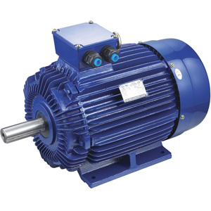 Low Voltage 3 Phase Motor